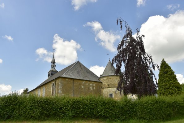 n 11
